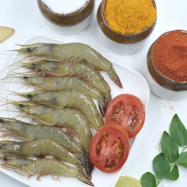 White Prawn/ Chemmeen/ നാരൻ  ചെമ്മീൻ